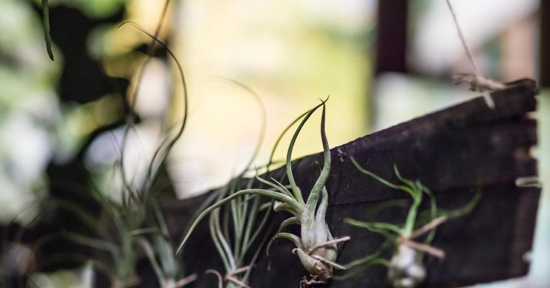 Salon d’Art Abordable - Villa Mais D'ici